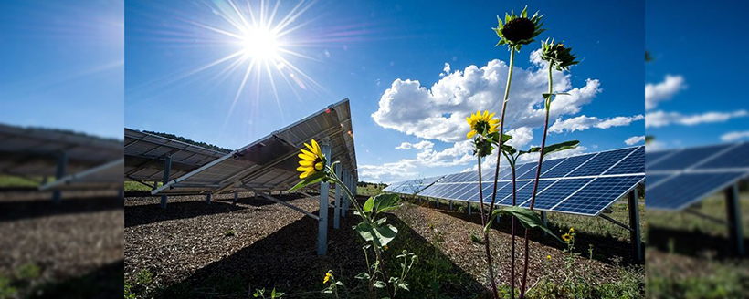 انواع تيشرت مردانه